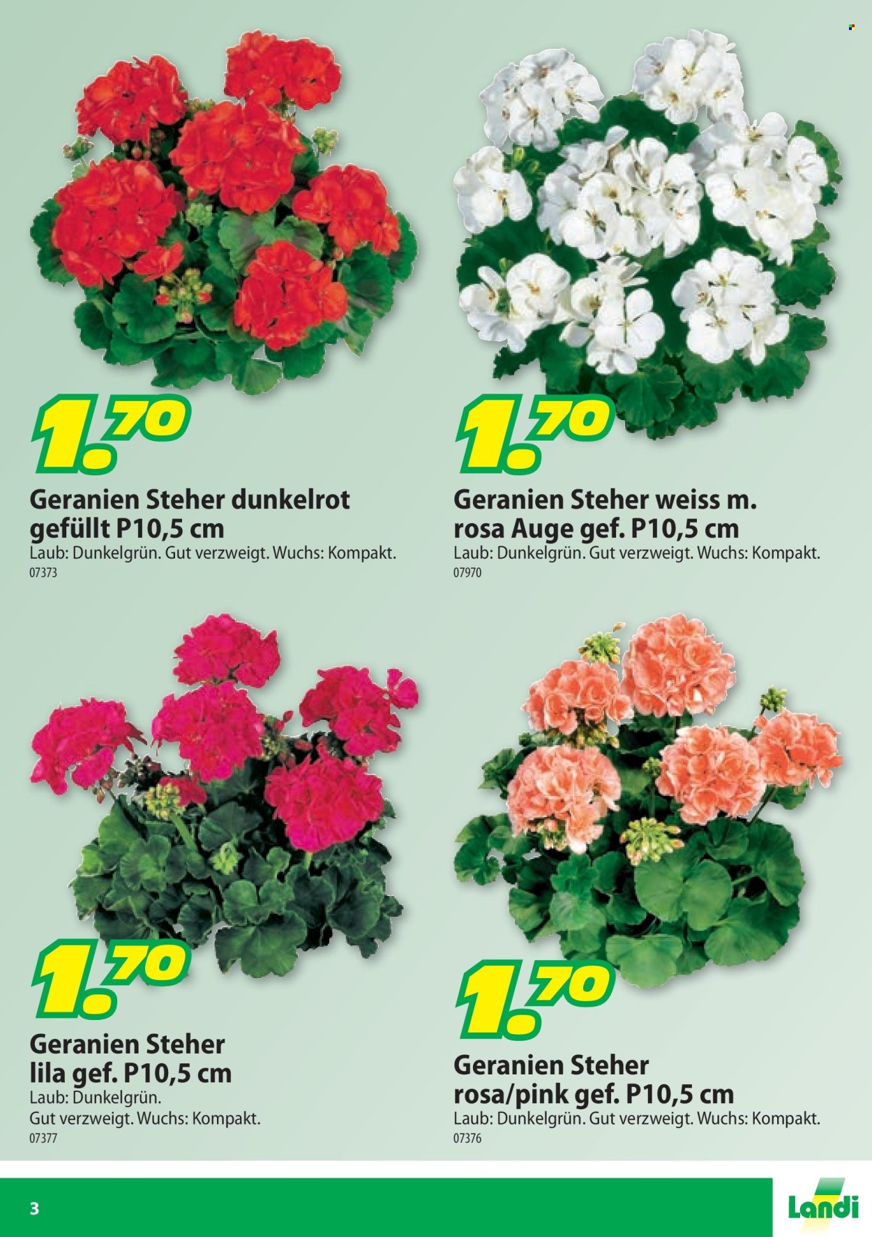 Prospekte Landi. Seite 3.