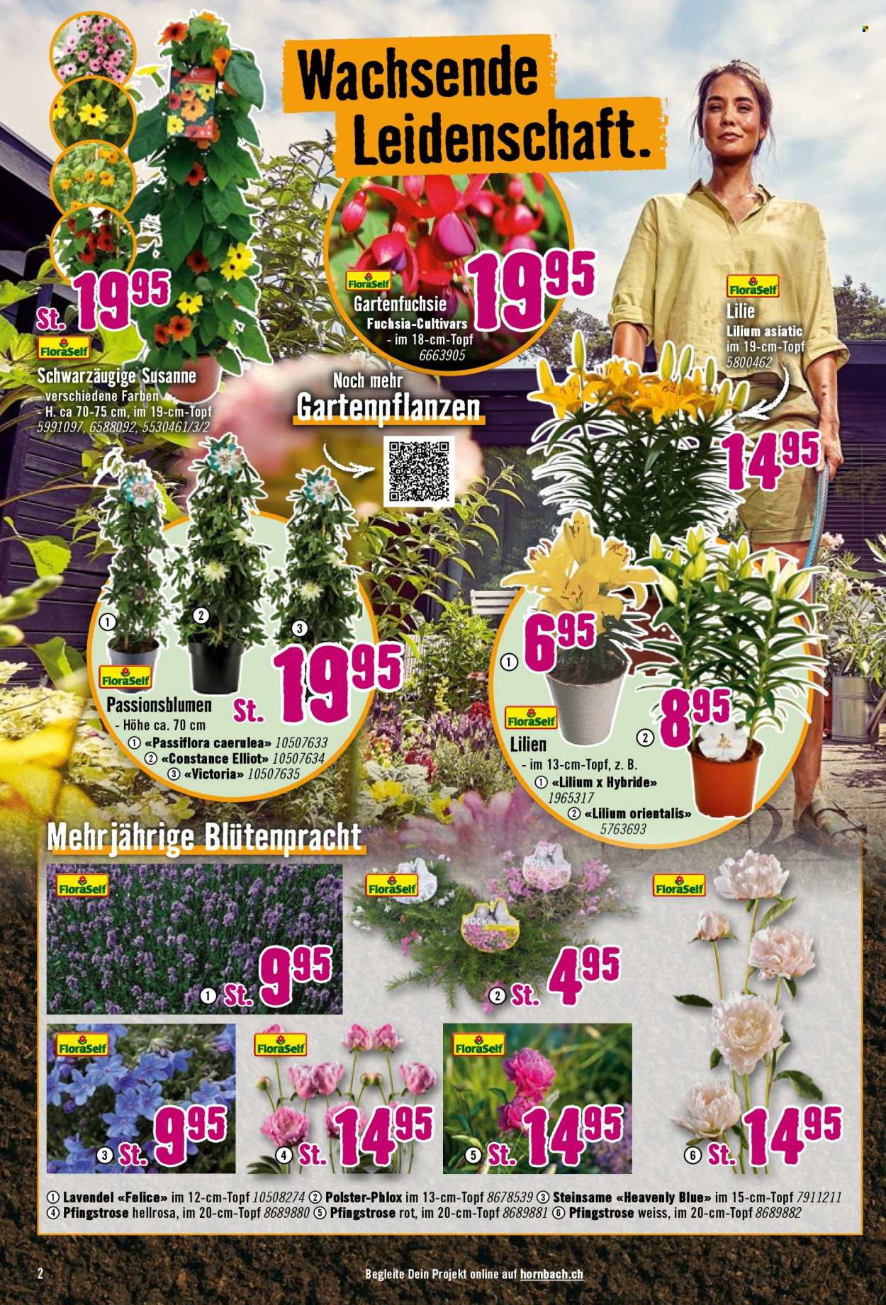 Prospekte Hornbach - 23.4.2025 - 20.5.2025. Seite 2.