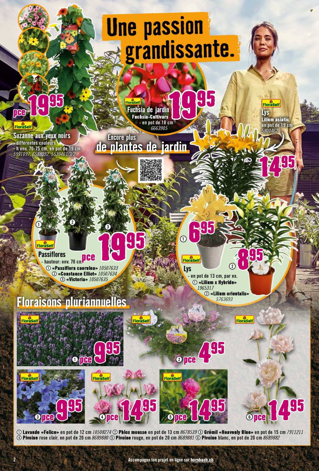 Prospekte Hornbach - 23.4.2025 - 20.5.2025. Seite 2.