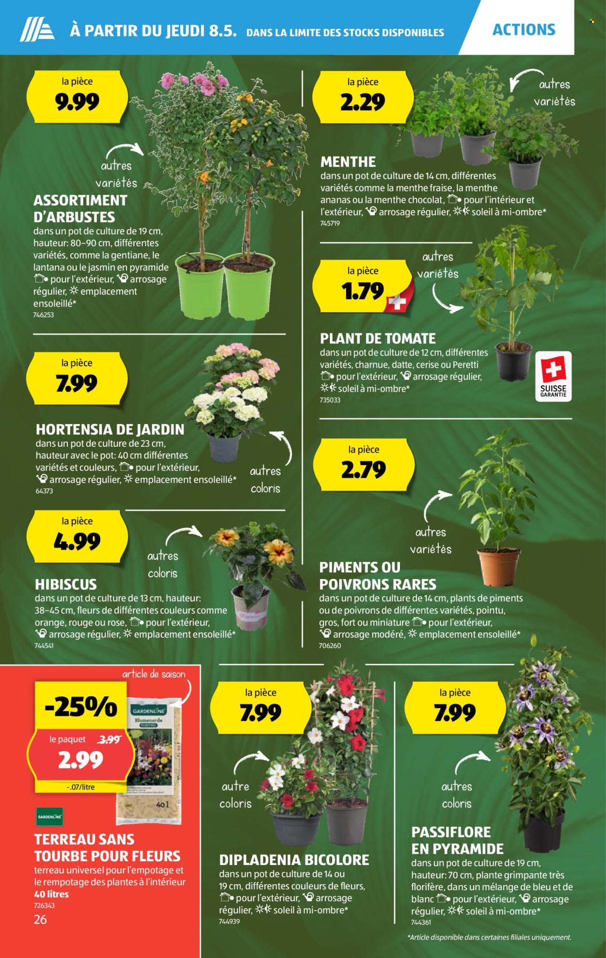 Prospekte Aldi - 8.5.2025 - 14.5.2025. Seite 26.