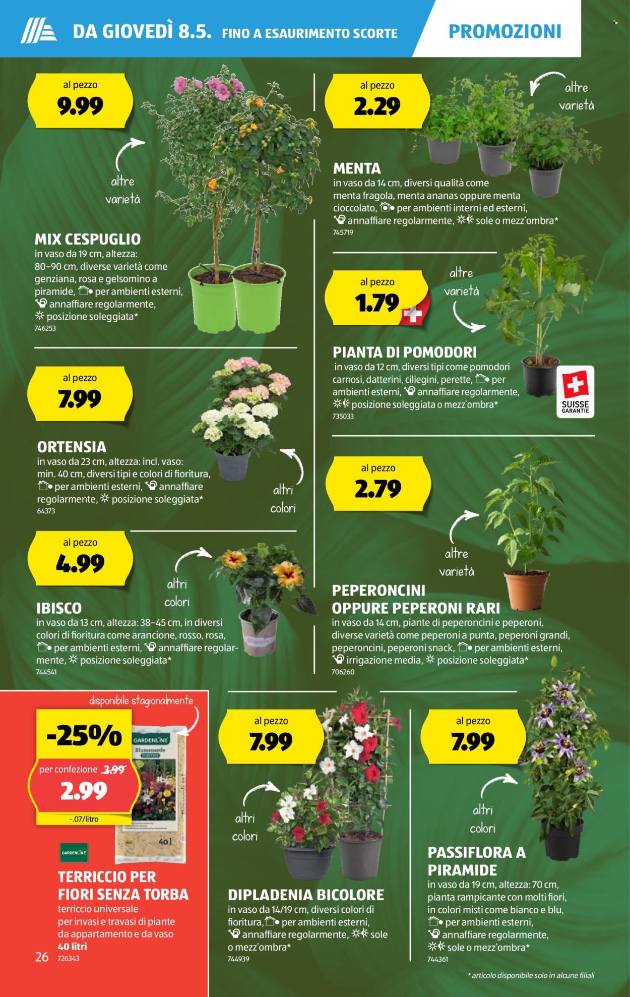 Prospekte Aldi - 8.5.2025 - 14.5.2025. Seite 26.