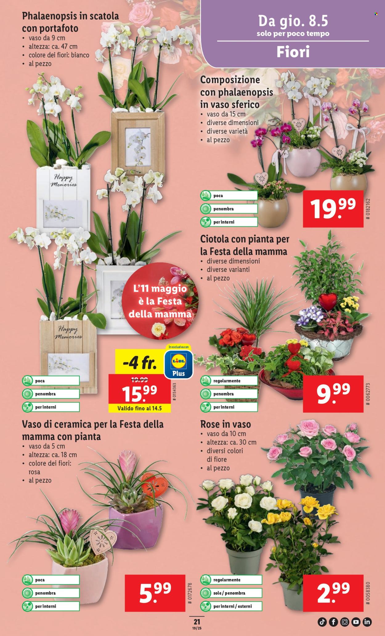 Prospekte Lidl - 8.5.2025 - 14.5.2025. Seite 29.