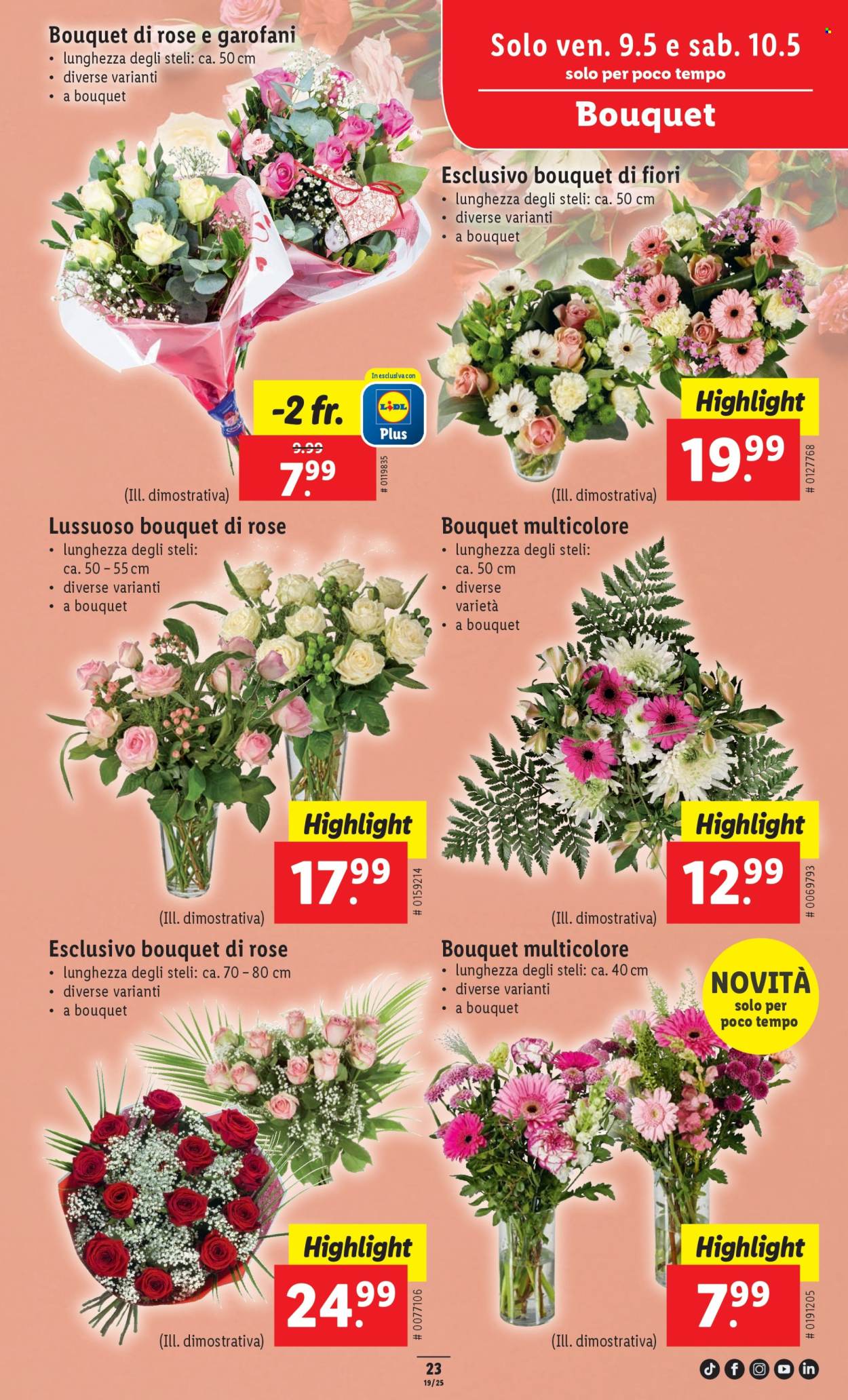 Prospekte Lidl - 8.5.2025 - 14.5.2025. Seite 31.