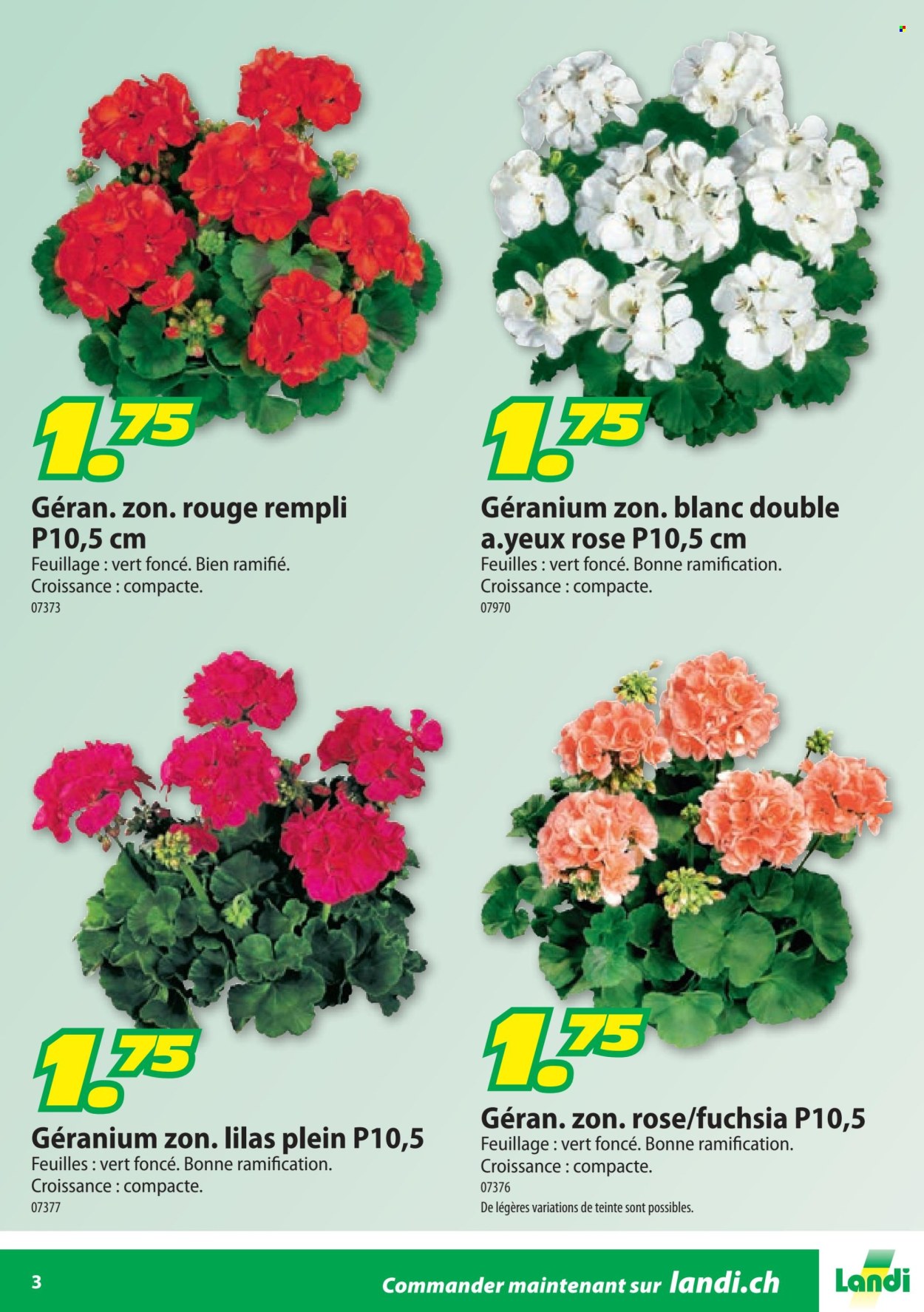 Prospekte Landi. Seite 3. Seite 3