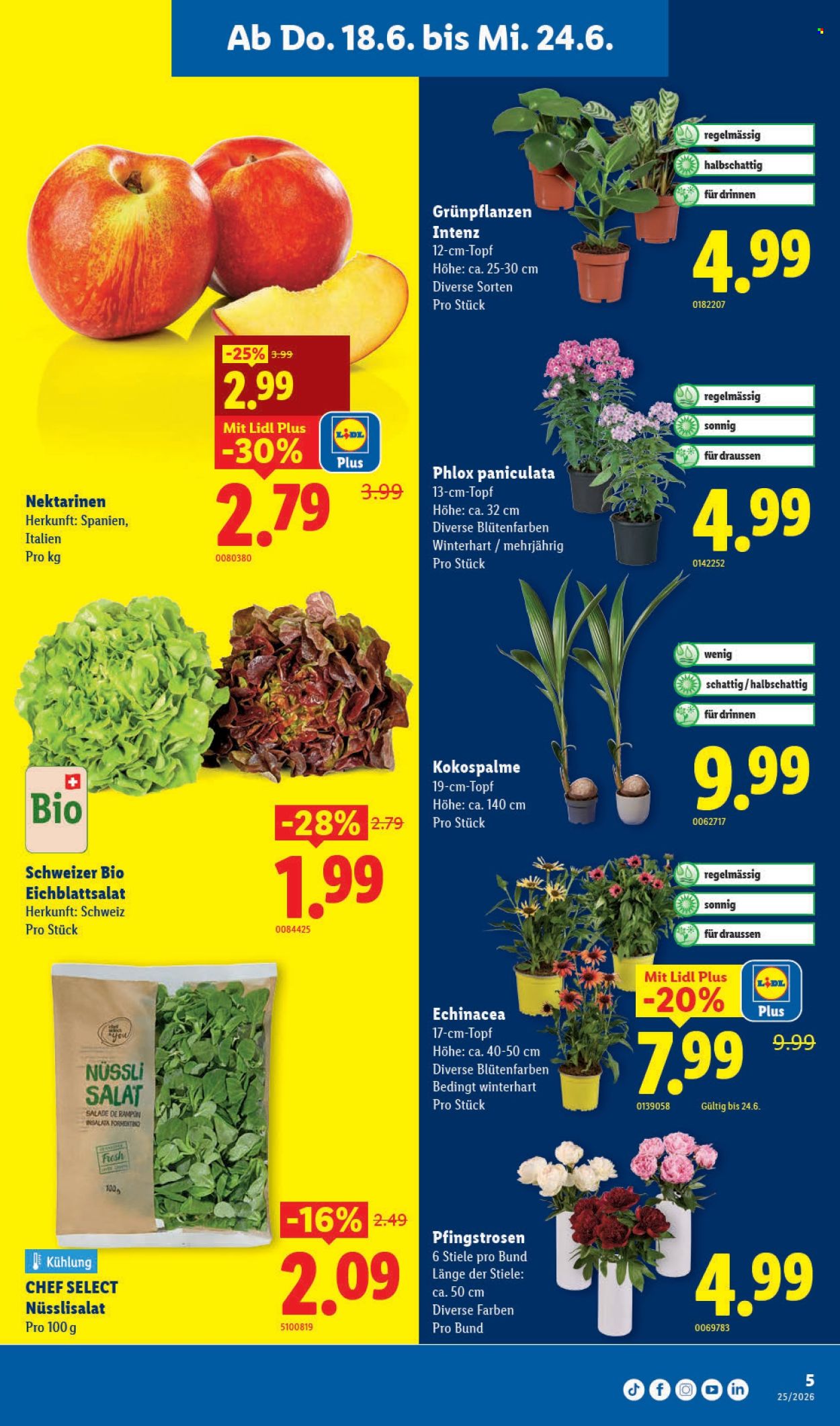 Prospekte Lidl - 18.6.2026 - 24.6.2026. Seite 5. Seite 5