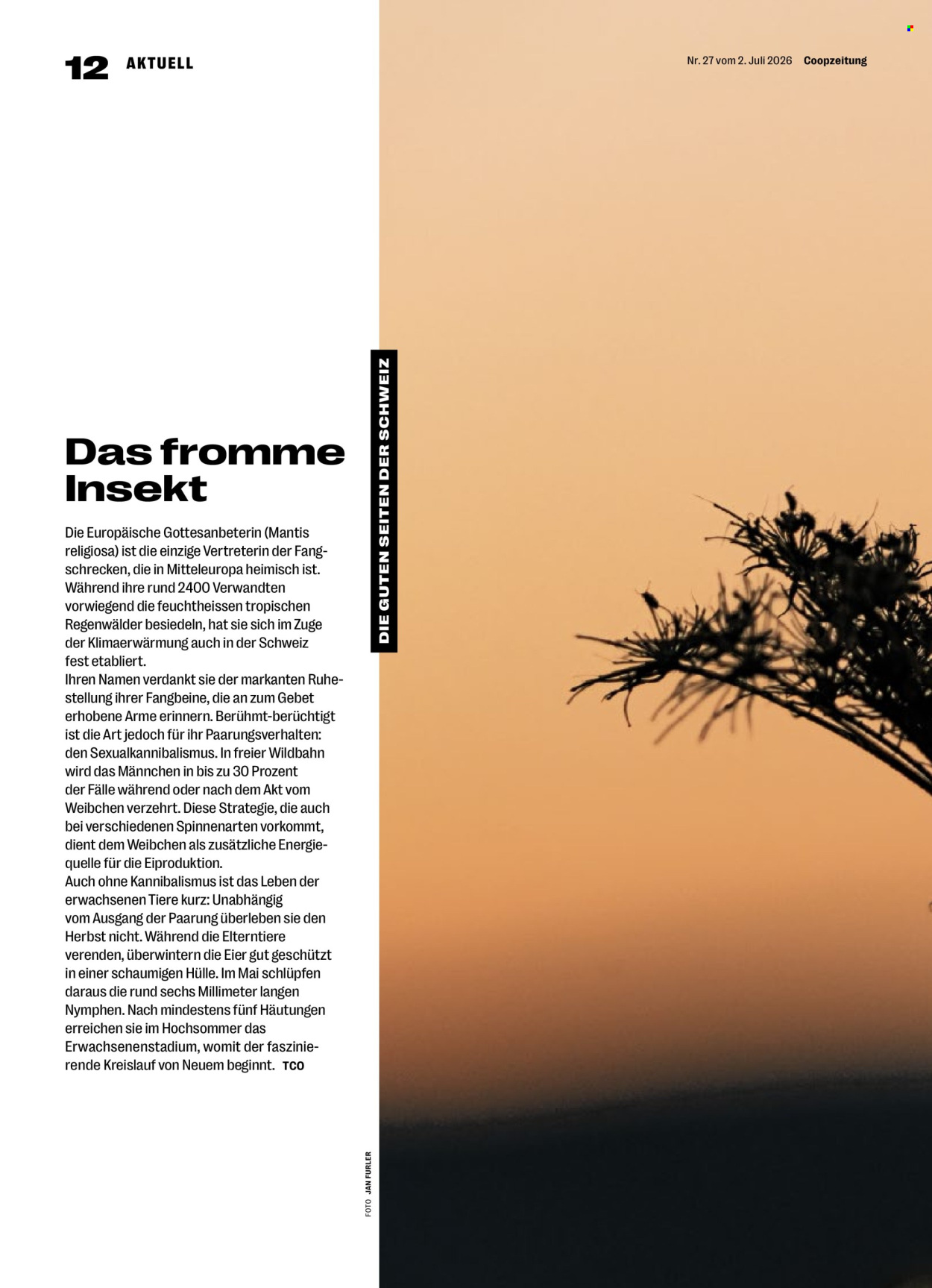 Prospekte Coop - 2.7.2026 - 8.7.2026. Seite 12. Seite 12