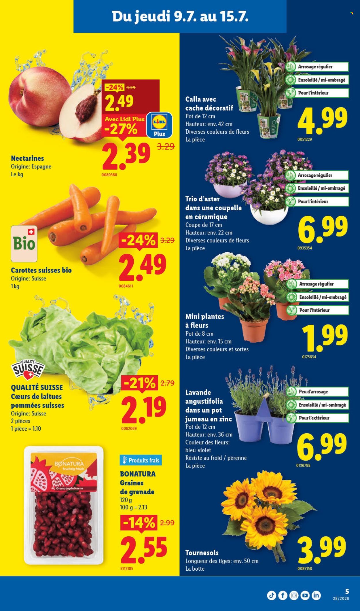 Prospekte Lidl - 9.7.2026 - 15.7.2026. Seite 5. Seite 5