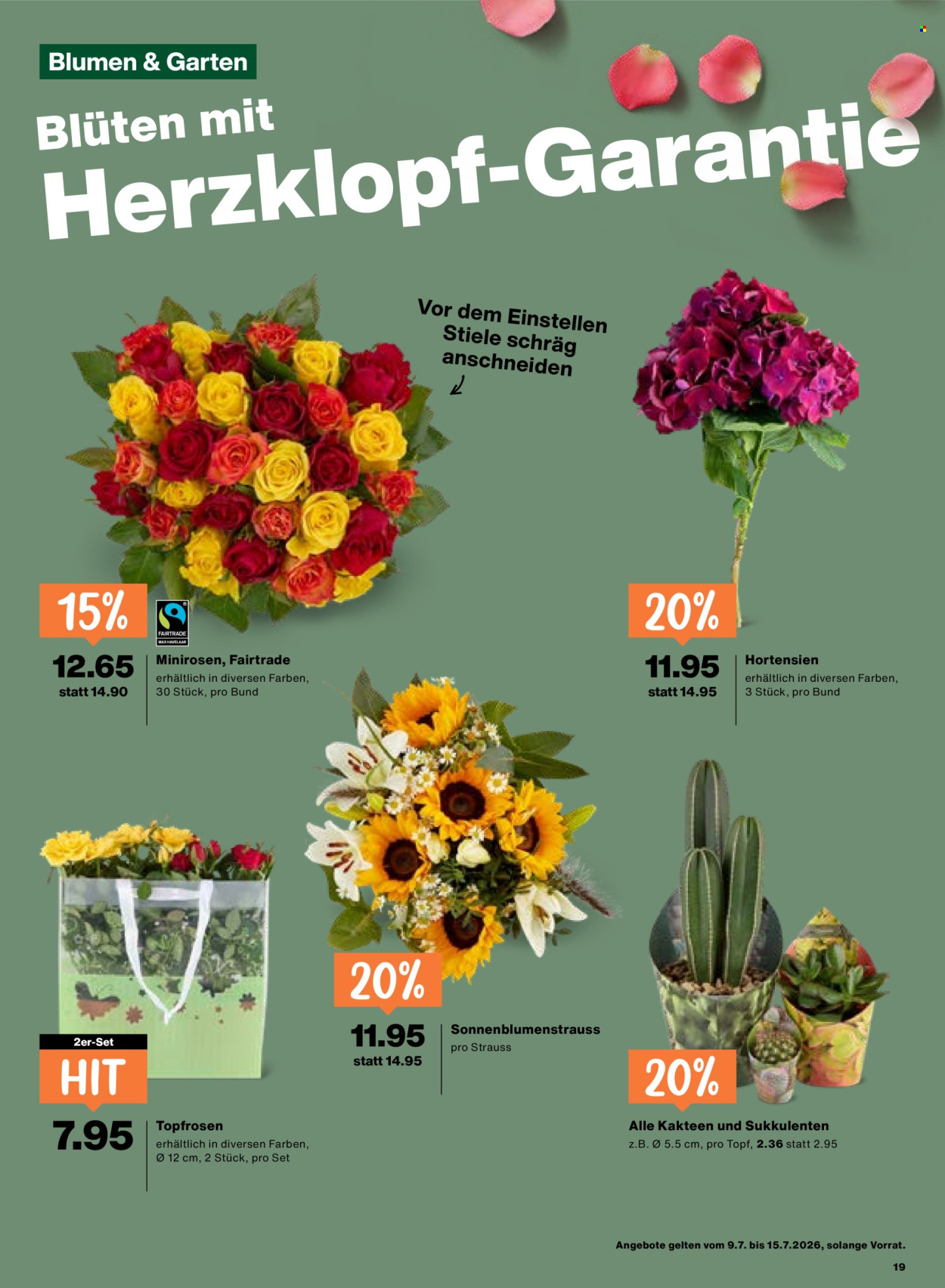 Prospekte Migros - 9.7.2026 - 15.7.2026. Seite 19. Seite 19