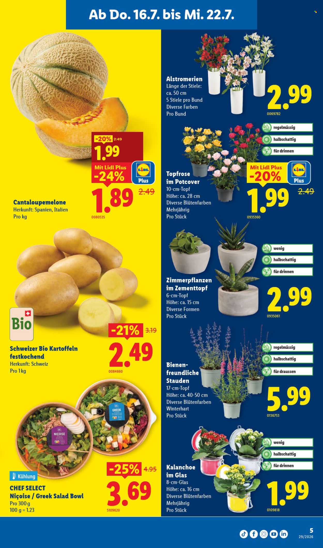 Prospekte Lidl - 16.7.2026 - 22.7.2026. Seite 5. Seite 5