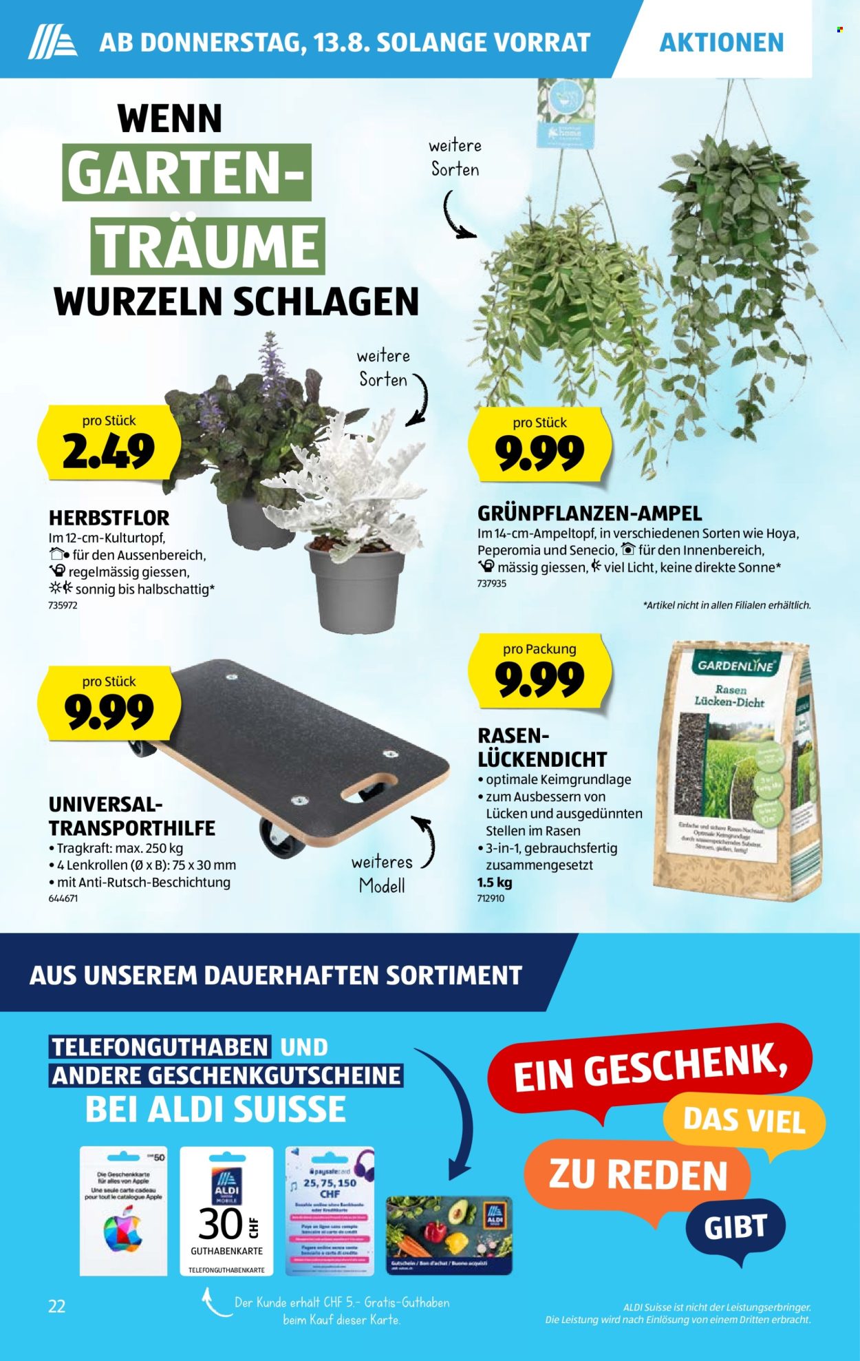 Prospekte Aldi - 13.8.2026 - 19.8.2026. Seite 22. Seite 22