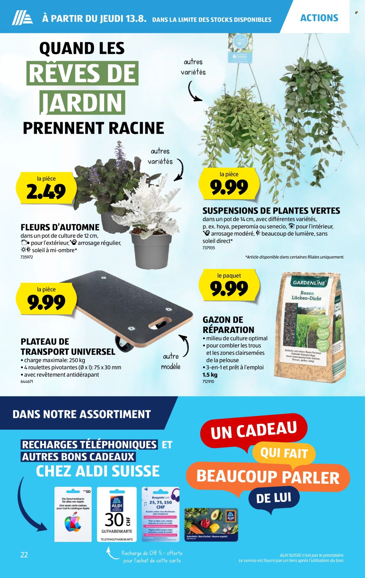 Prospekte Aldi - 13.8.2026 - 19.8.2026. Seite 22. Seite 22