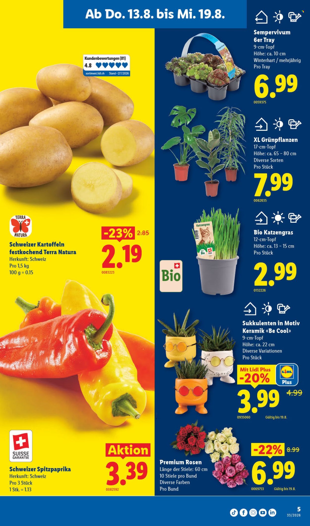 Prospekte Lidl - 13.8.2026 - 19.8.2026. Seite 9. Seite 9