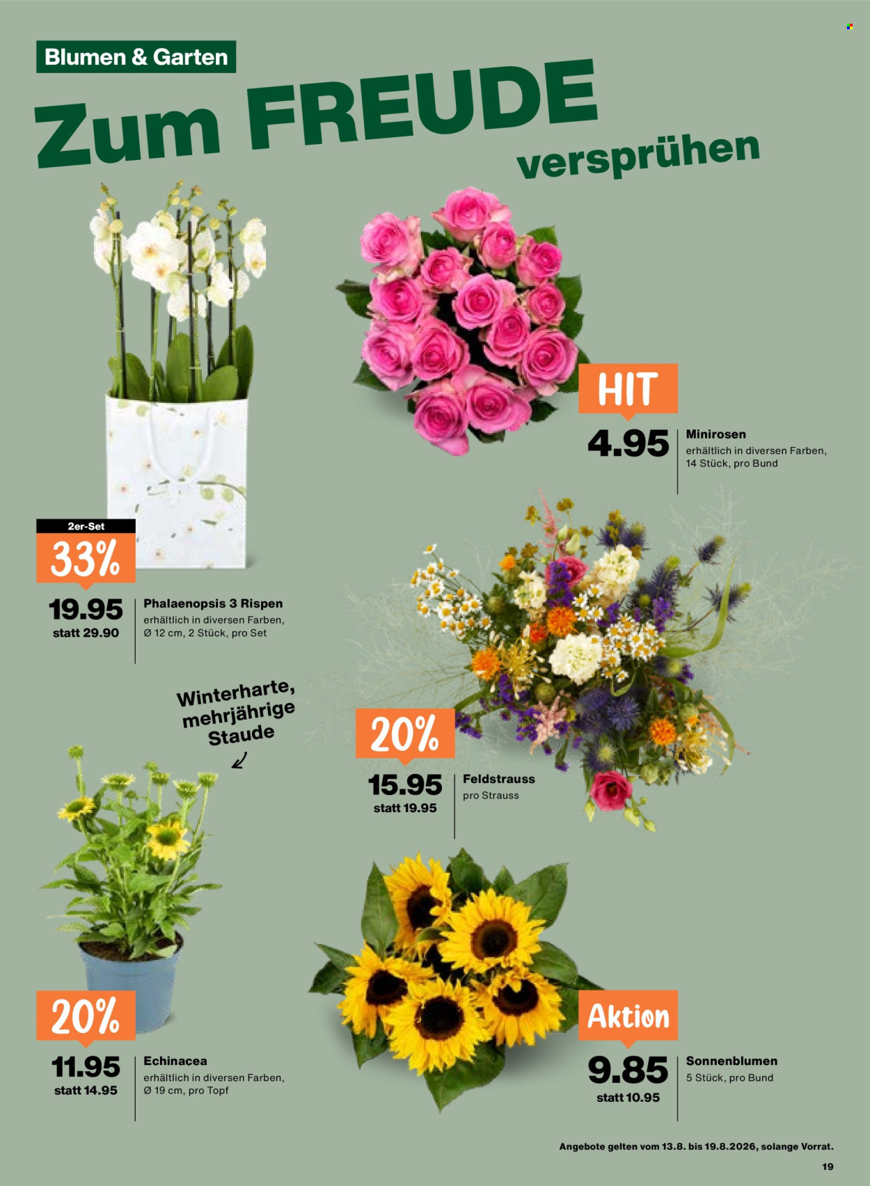 Prospekte Migros - 13.8.2026 - 19.8.2026. Seite 19. Seite 19