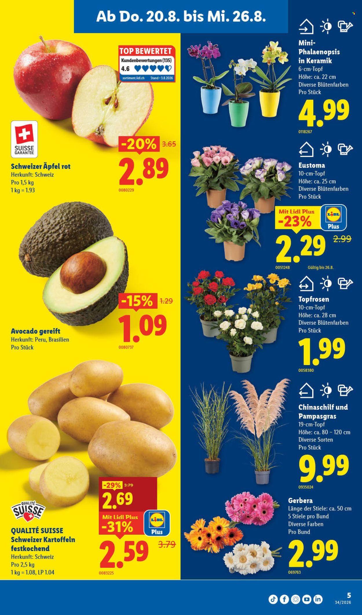 Prospekte Lidl - 20.8.2026 - 26.8.2026. Seite 9. Seite 9