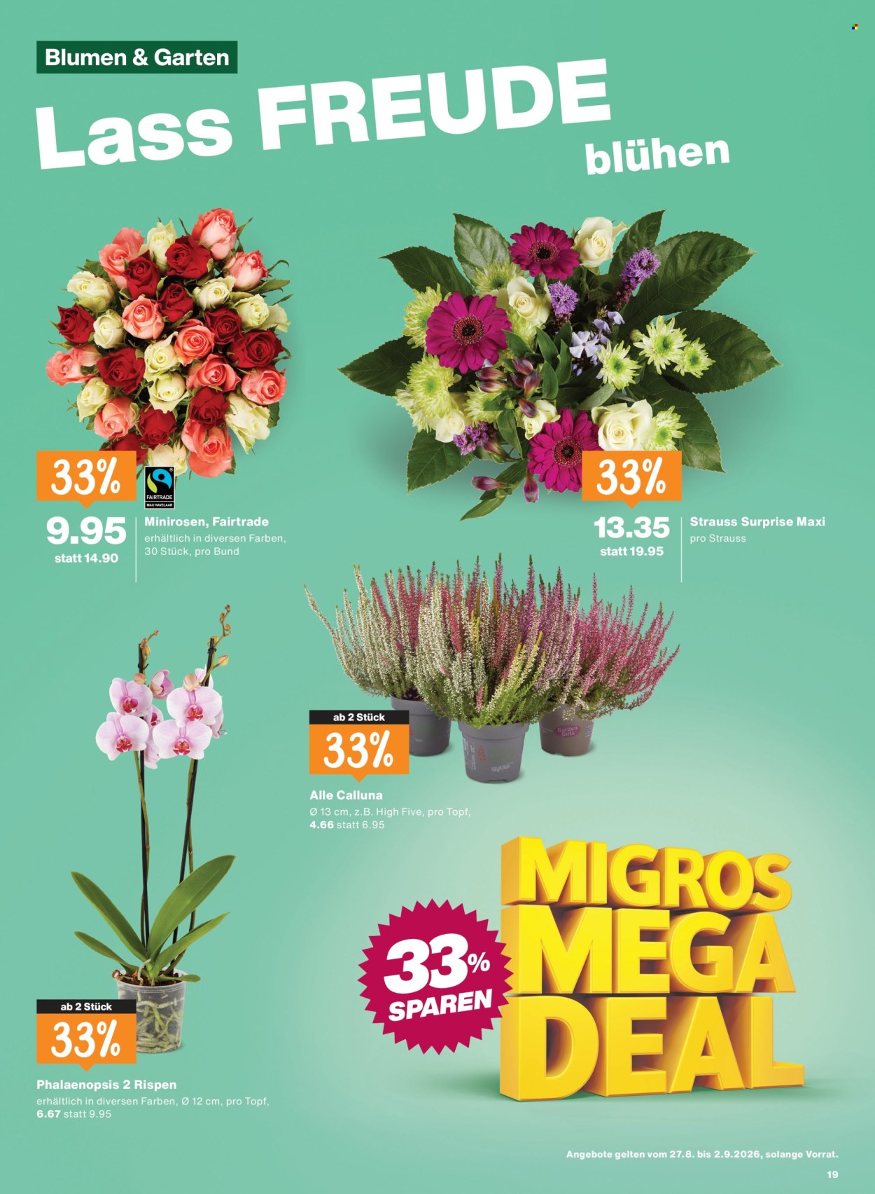 Prospekte Migros - 27.8.2026 - 2.9.2026. Seite 19. Seite 19