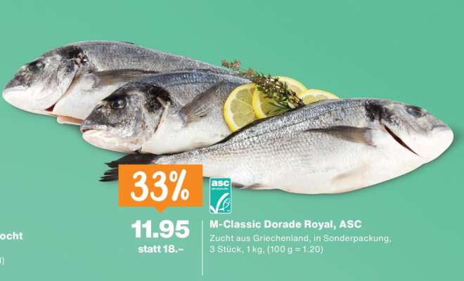 M-Classic Dorade Royal, ASC