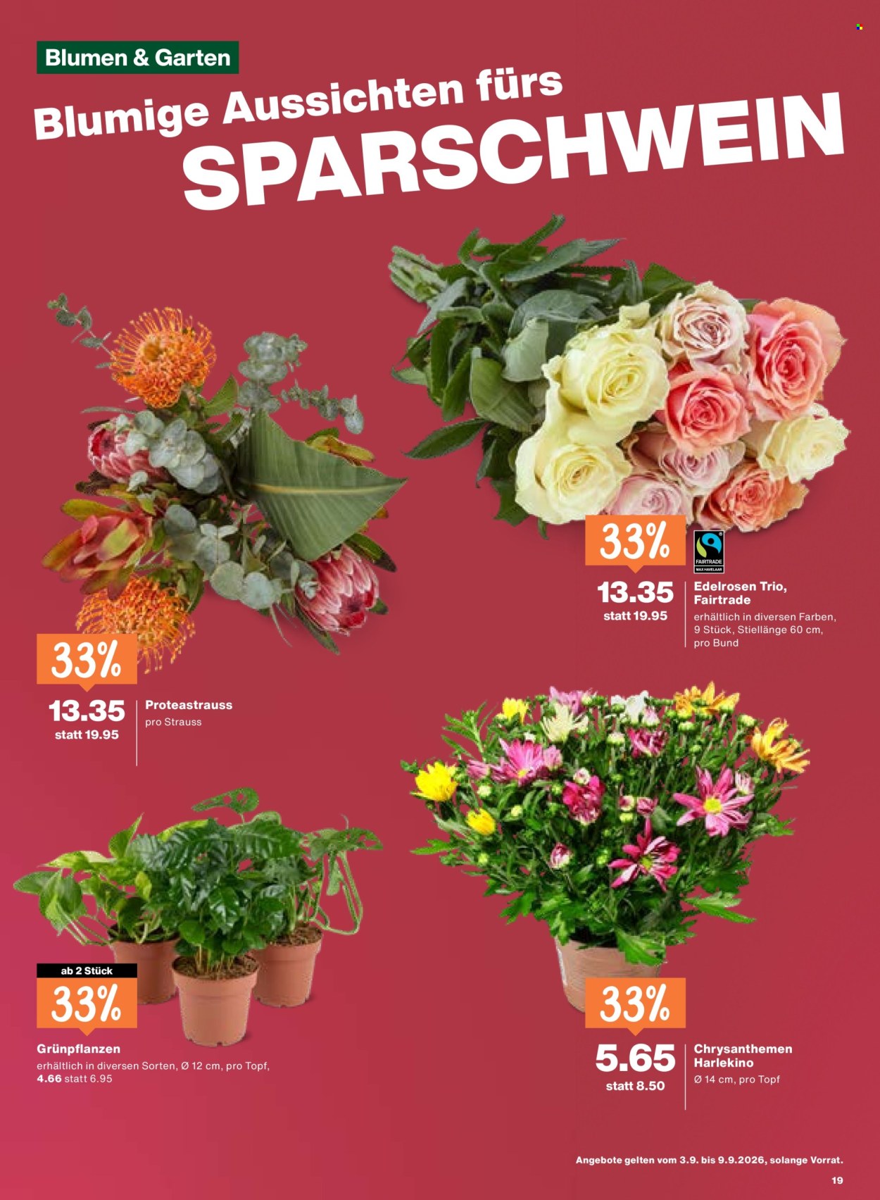 Prospekte Migros - 3.9.2026 - 9.9.2026. Seite 19. Seite 19