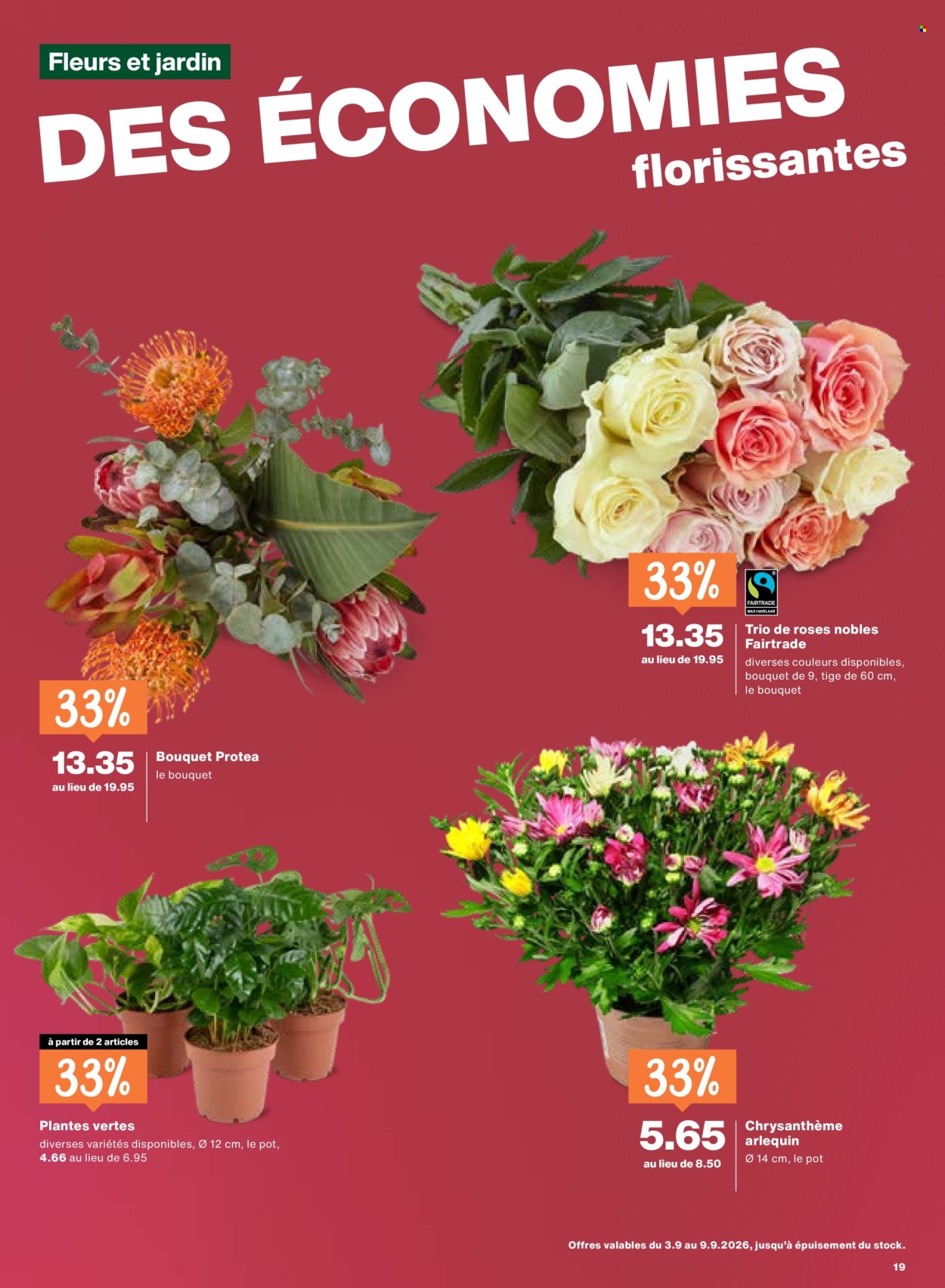 Prospekte Migros - 3.9.2026 - 9.9.2026. Seite 19. Seite 19