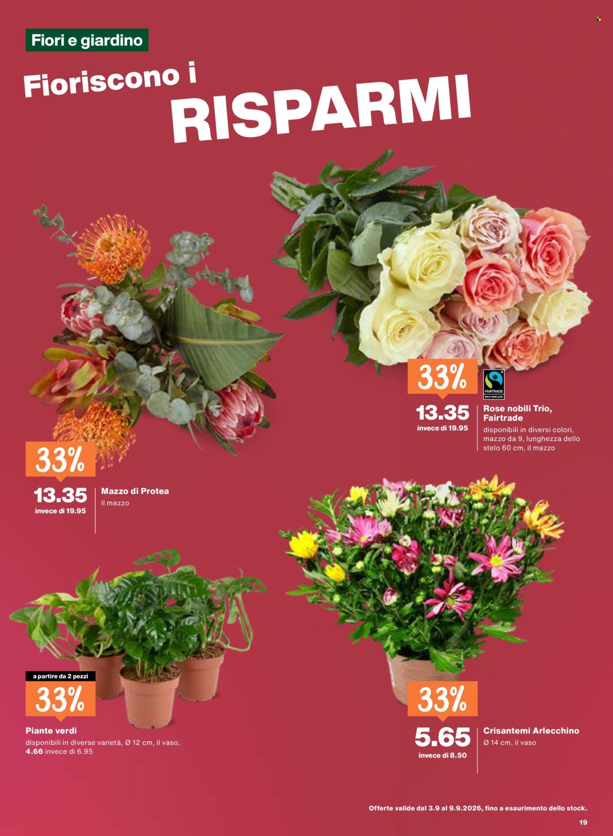 Prospekte Migros - 3.9.2026 - 9.9.2026. Seite 19. Seite 19