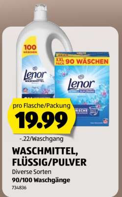 WASCHMITTEL, FLÜSSIG/PULVER