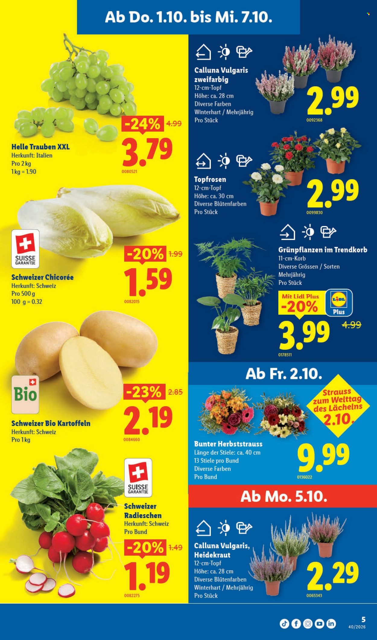 Prospekte Lidl - 1.10.2026 - 7.10.2026. Seite 5. Seite 5