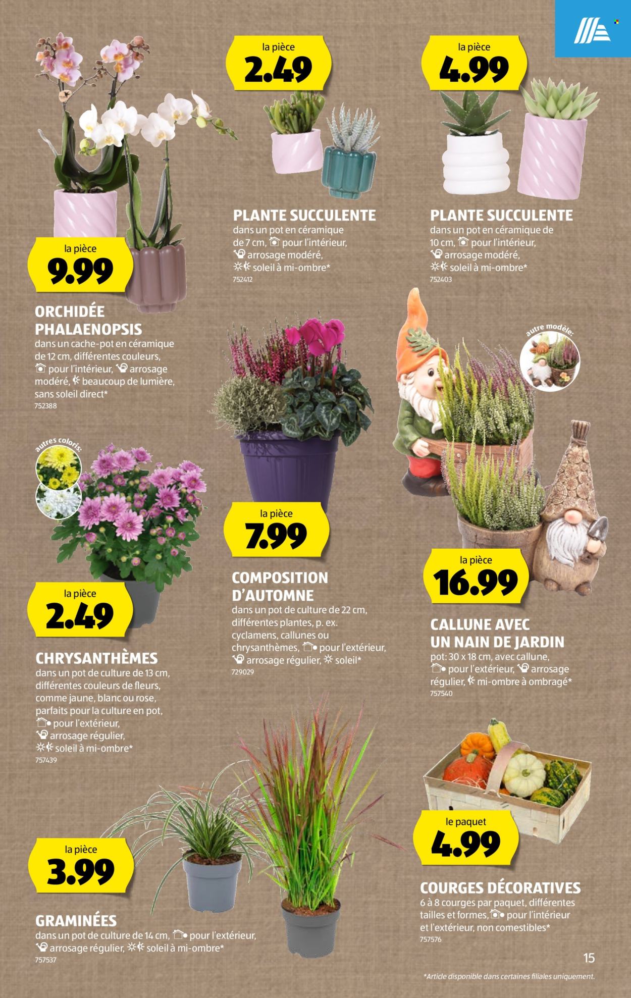 Prospekte Aldi - 8.10.2026 - 14.10.2026. Seite 15. Seite 15