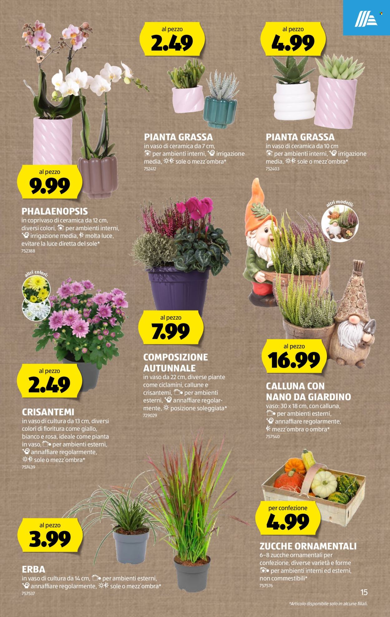 Prospekte Aldi - 8.10.2026 - 14.10.2026. Seite 15. Seite 15