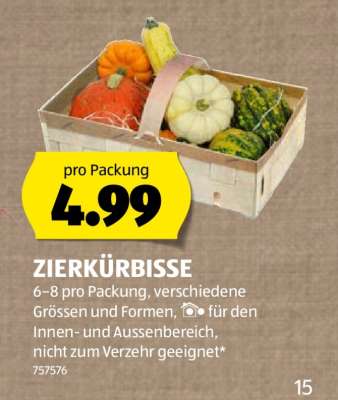 ZIERKÜRBISSE