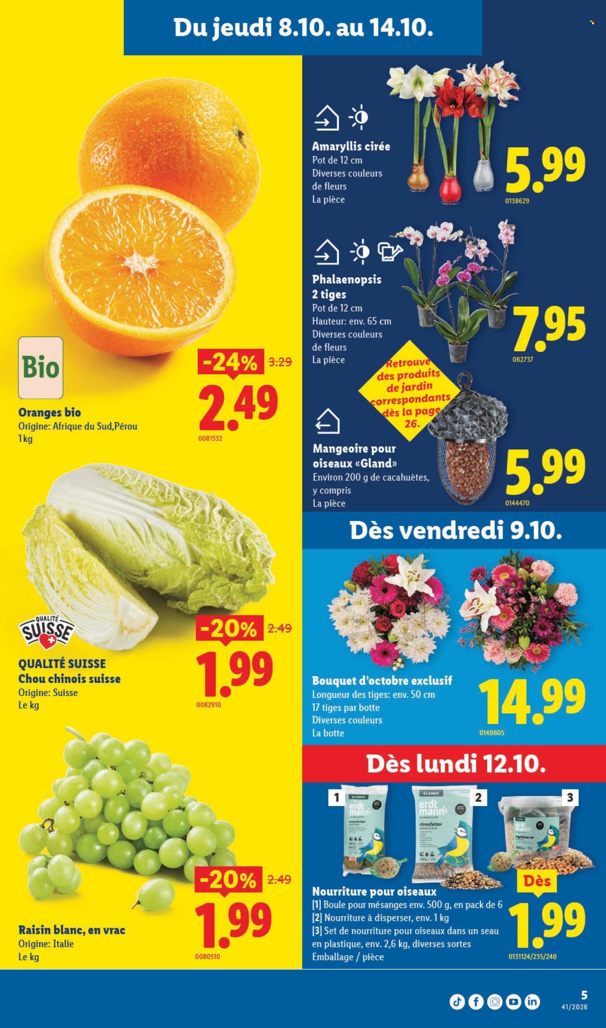 Prospekte Lidl - 8.10.2026 - 14.10.2026. Seite 5. Seite 5
