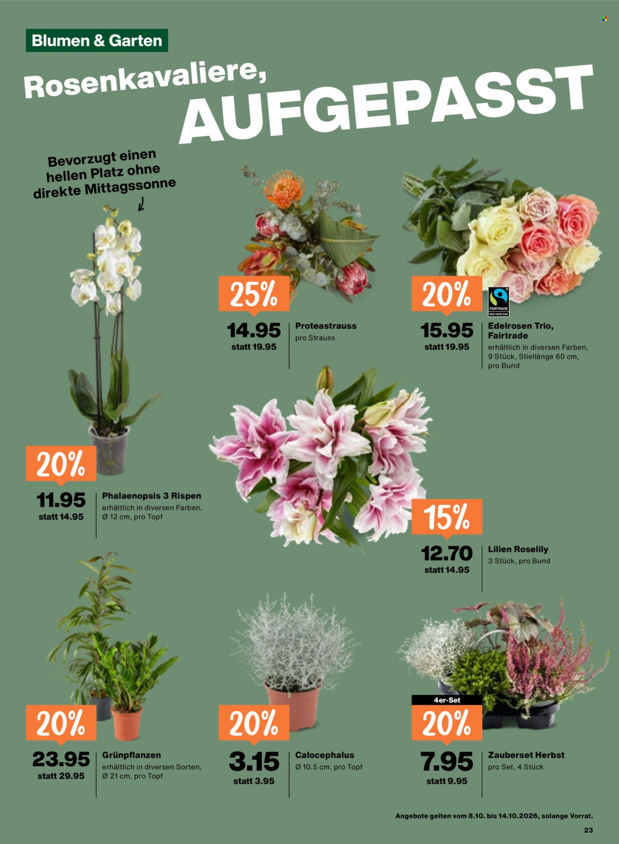 Prospekte Migros - 8.10.2026 - 14.10.2026. Seite 23. Seite 23