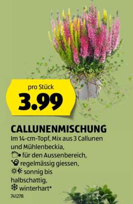CALLUNENMISCHUNG
